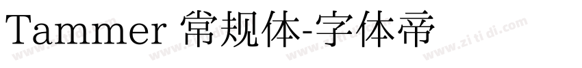 Tammer 常规体字体转换